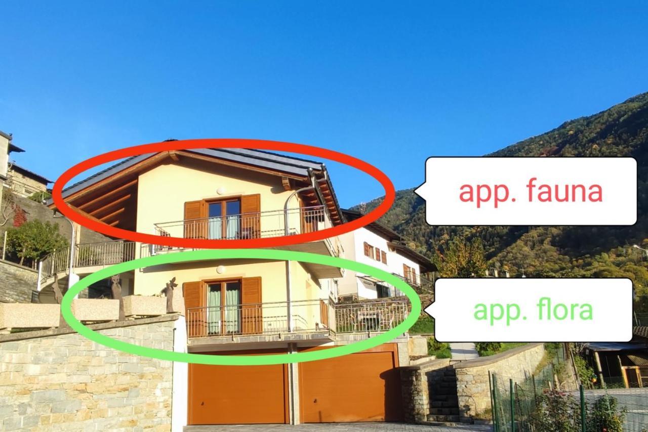 Pisolo Selvaggio Apartment Tirano Ngoại thất bức ảnh