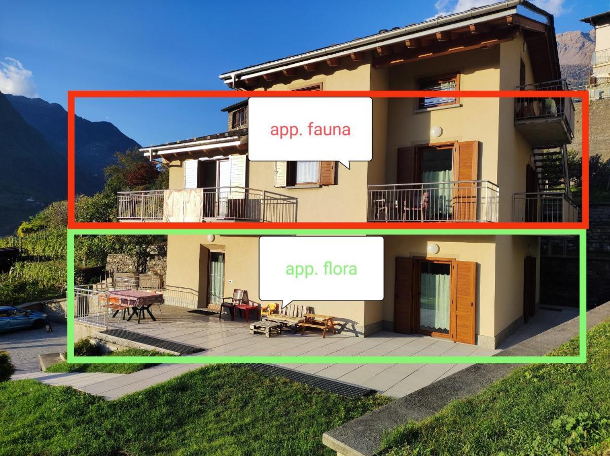 Pisolo Selvaggio Apartment Tirano Ngoại thất bức ảnh